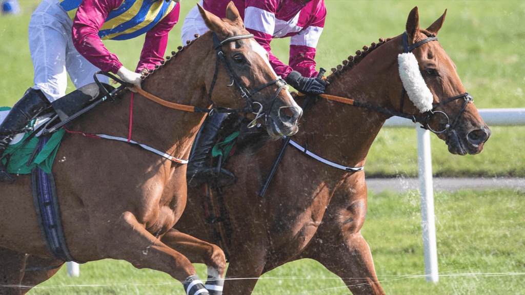 The Kentucky Derby Is a Respiratory Event. You’ve Just Never Heard It Described That Way.
